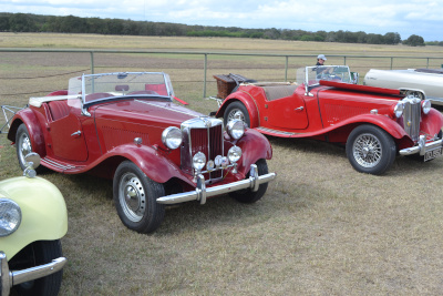 Vintage cars