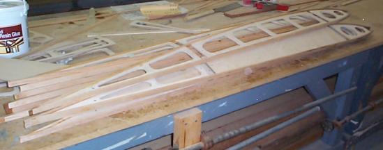 Rearwin top-wing ribs